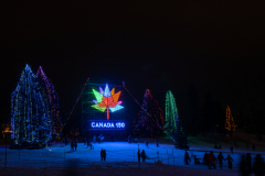 20161229_FestivalOfLights-0007