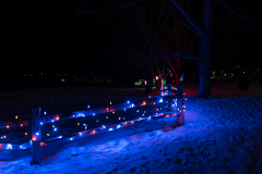 20161229_FestivalOfLights-0018