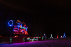 20161229_FestivalOfLights-0025