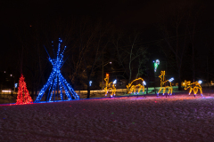 20161229_FestivalOfLights-0031