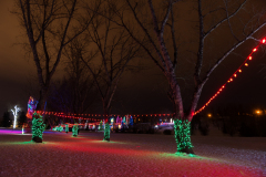 20161229_FestivalOfLights-0033