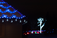 20161229_FestivalOfLights-0048